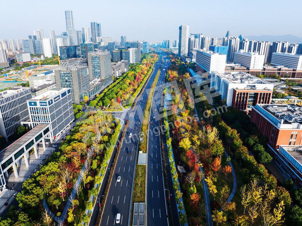 《文一西路的秋天》