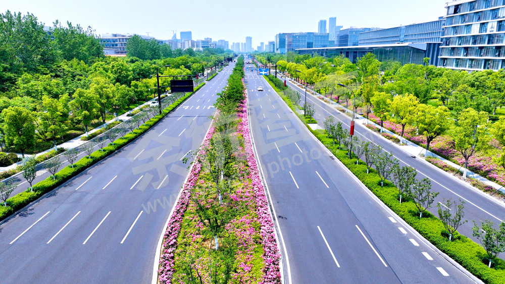 鲜花大道-文一西路