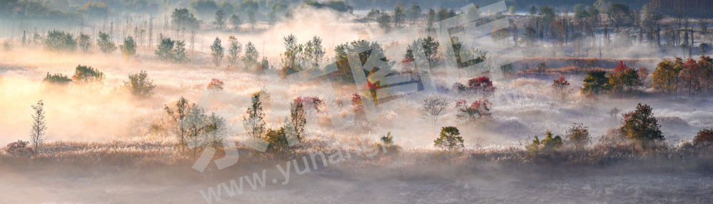 《北湖湿地秋日画卷》