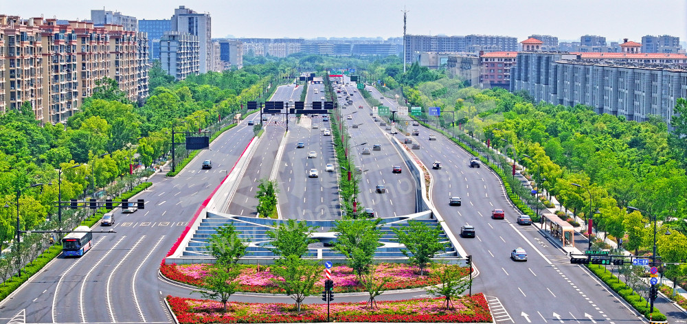 鲜花大道-文一西路