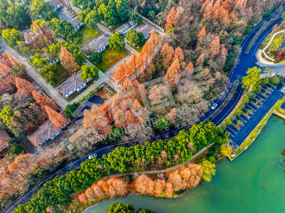 《穿梭林道间》