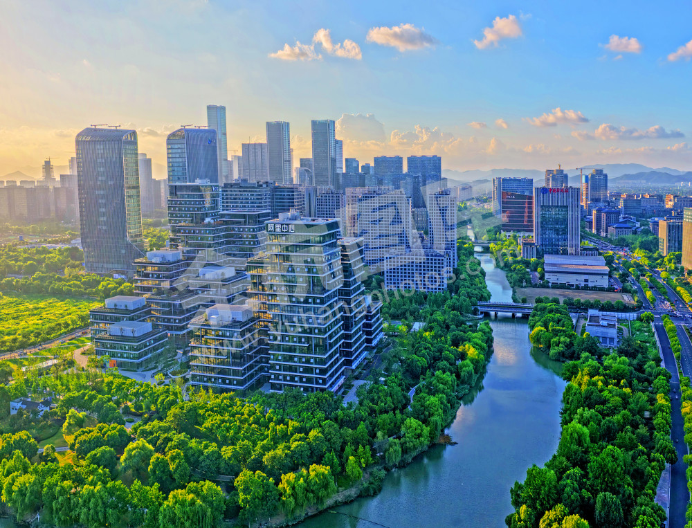 【未科阿里中心.钉钉总峁】