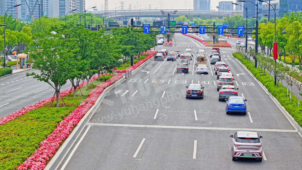 鲜花大道-文一西路
