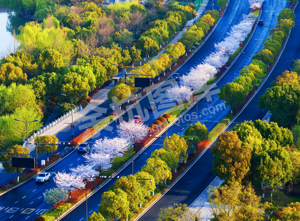 《城市中的自然诗画》