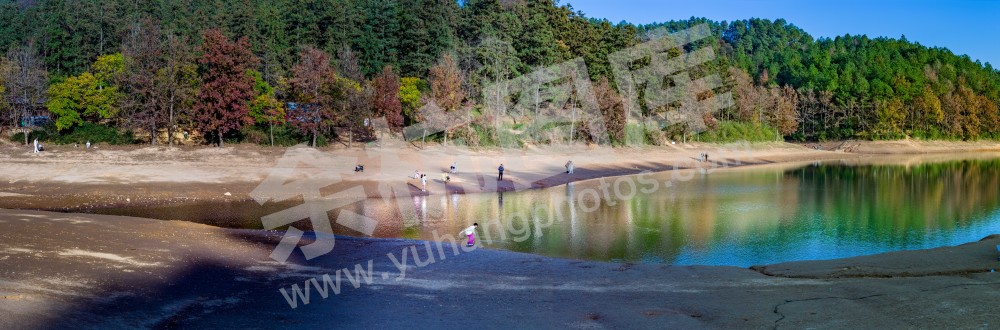 《余杭的森林公园》