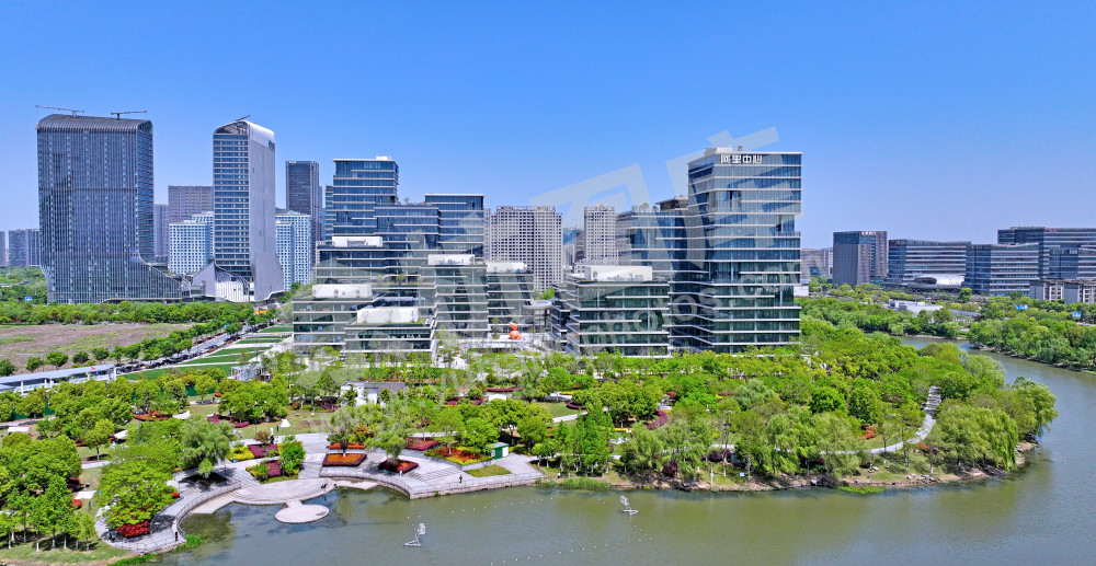 【未科阿里中心.钉钉总峁】