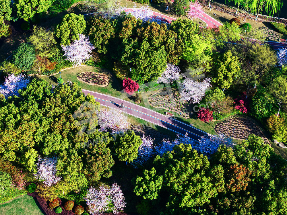 《五常北部园区公园》