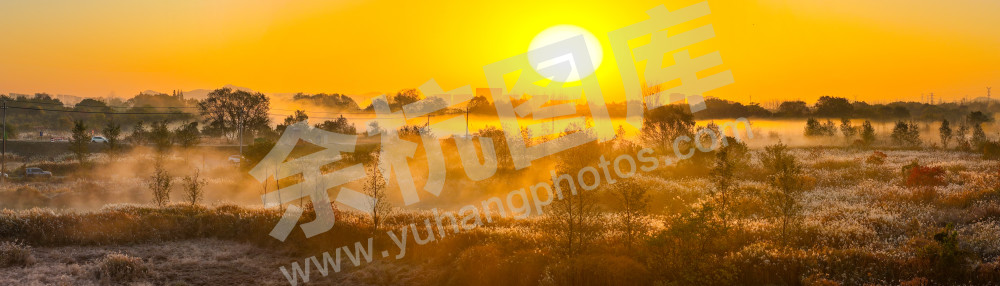 《北湖湿地秋日画卷》