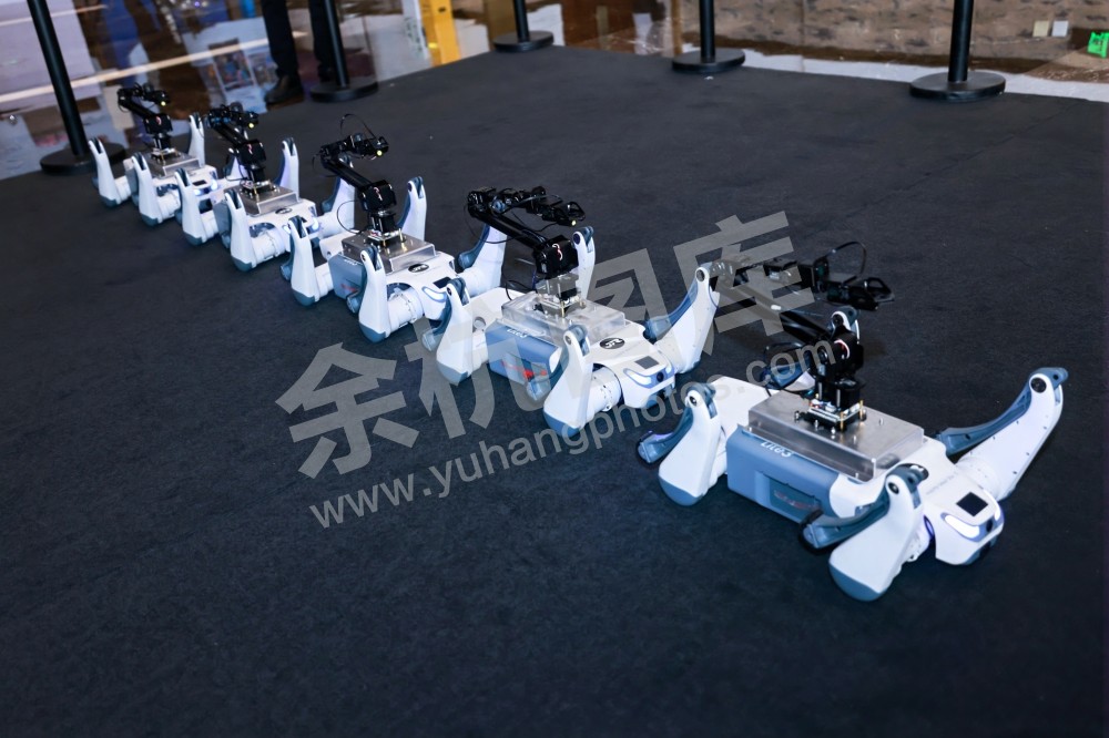 2025浙江省机器人行业发展大会