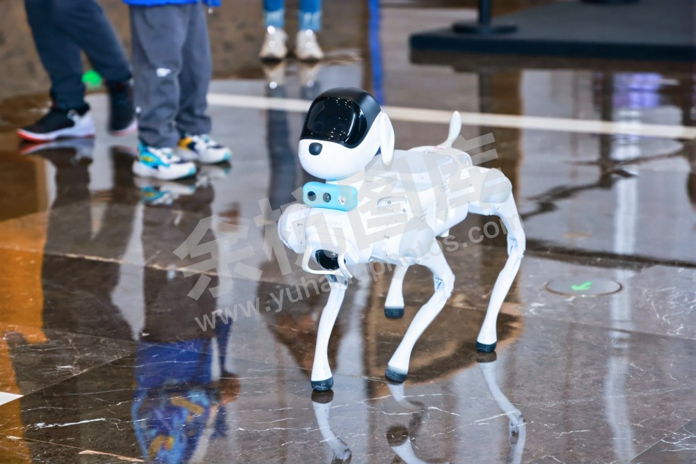 2025浙江省机器人行业发展大会