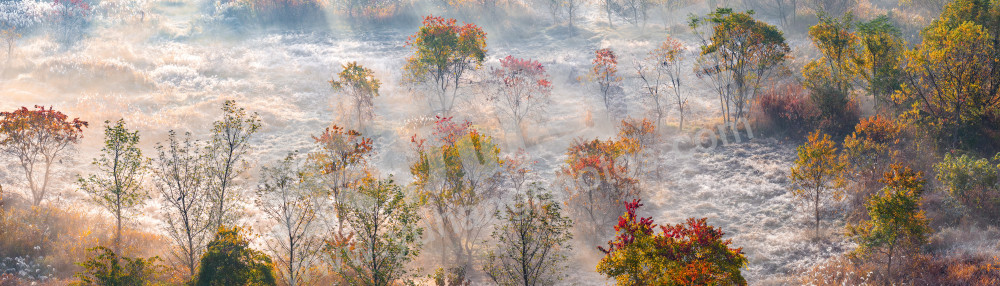 《北湖湿地秋日画卷》