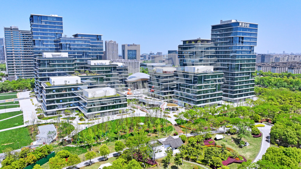 【未科阿里中心.钉钉总峁】