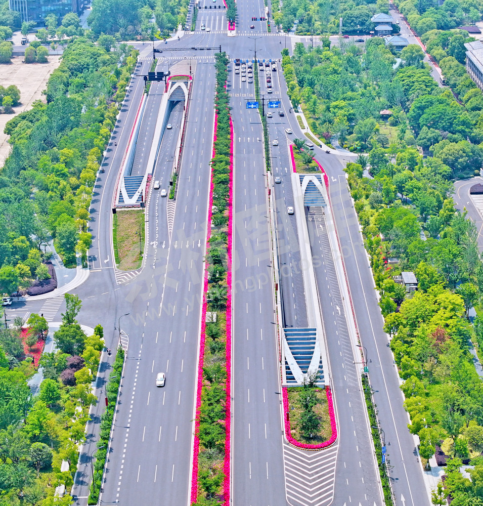 鲜花大道-文一西路