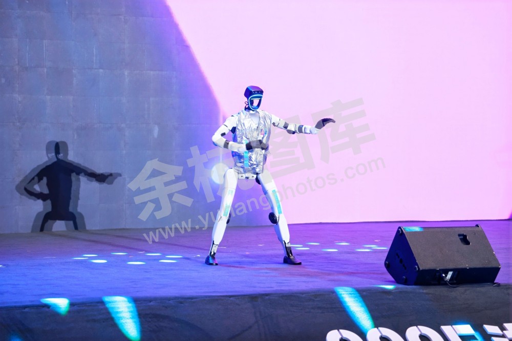 2025浙江省机器人行业发展大会