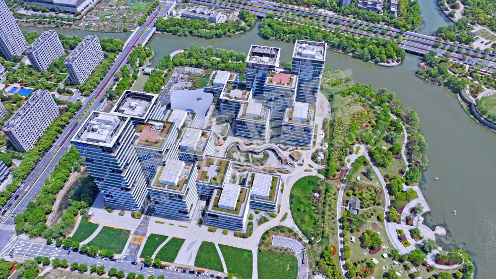 【未科阿里中心.钉钉总峁】