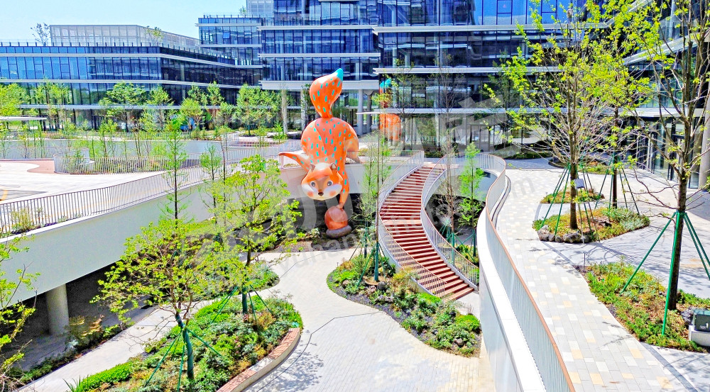 【未科阿里中心.钉钉总峁】