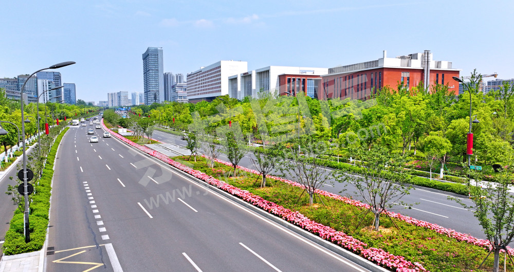 鲜花大道-文一西路