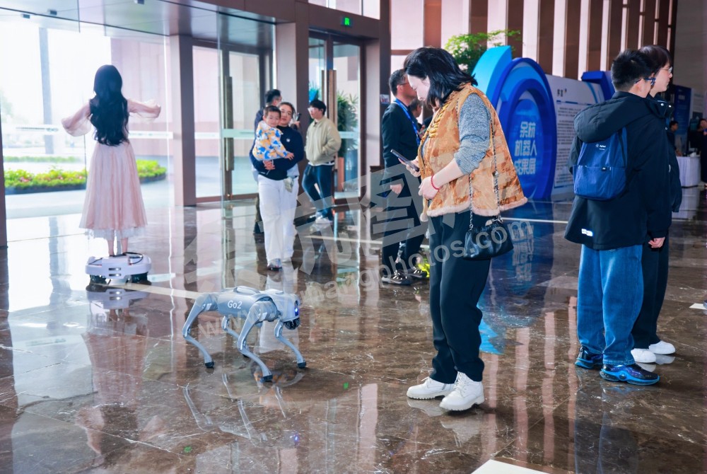 2025浙江省机器人行业发展大会