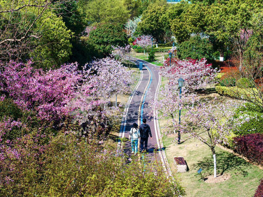 《五常北部园区公园》