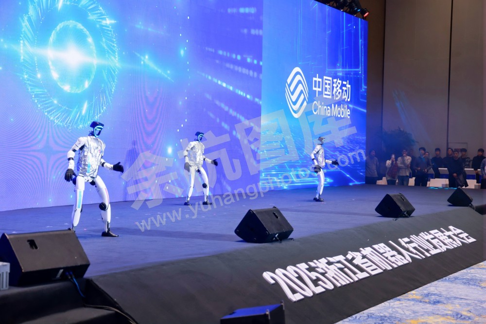 2025浙江省机器人行业发展大会