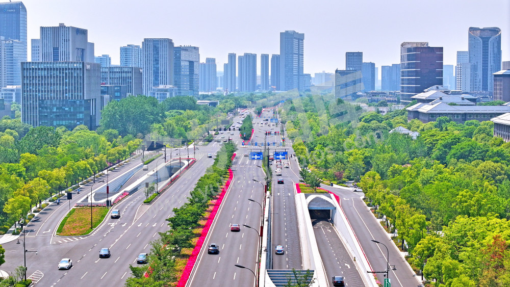 鲜花大道-文一西路