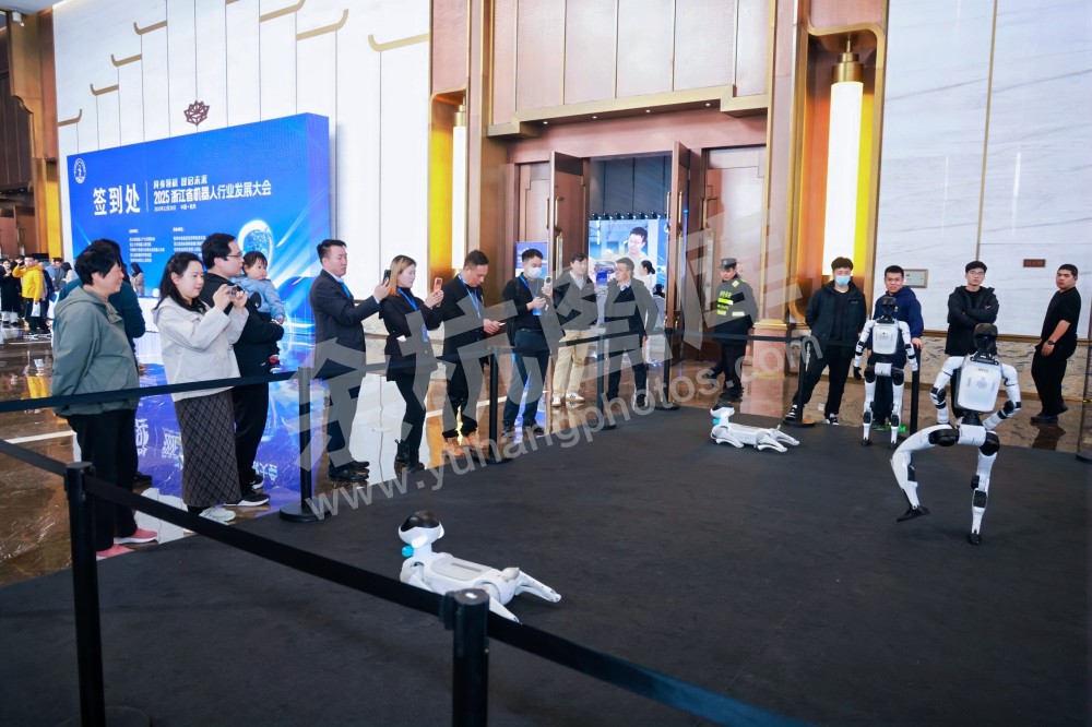 2025浙江省机器人行业发展大会
