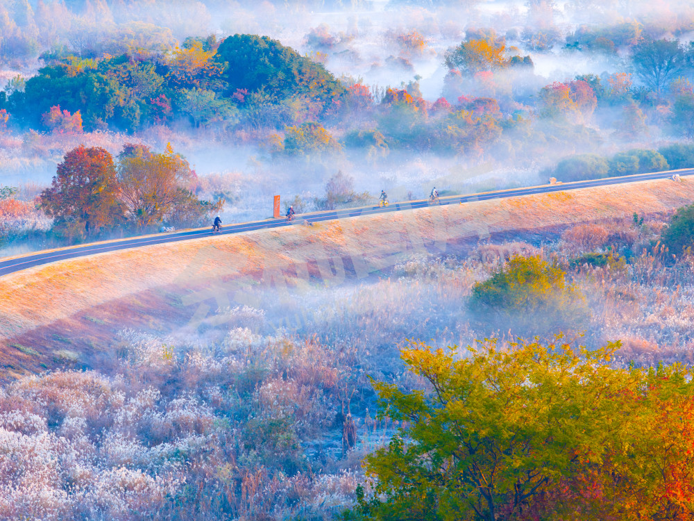 《骑行人在画中行》