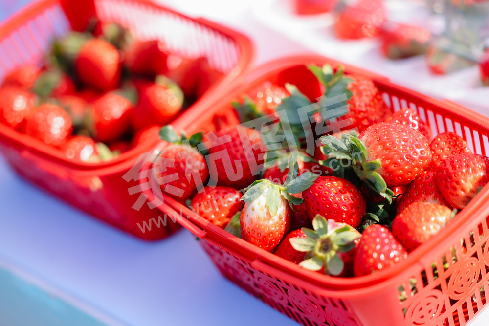 仁和街道第三届"鱼匠"美食争霸赛