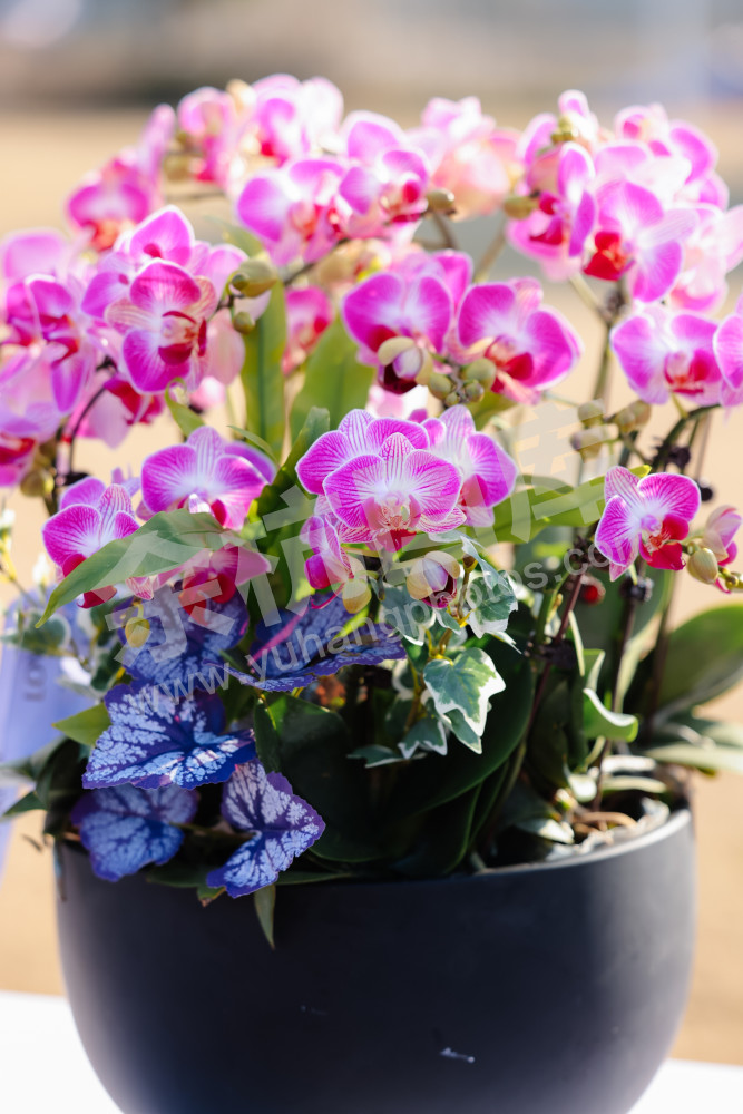 仁和街道第三届"鱼匠"美食争霸赛