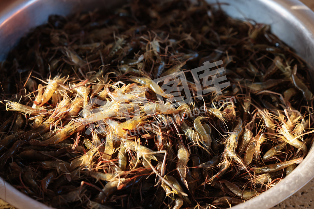 仁和街道第三届"鱼匠"美食争霸赛