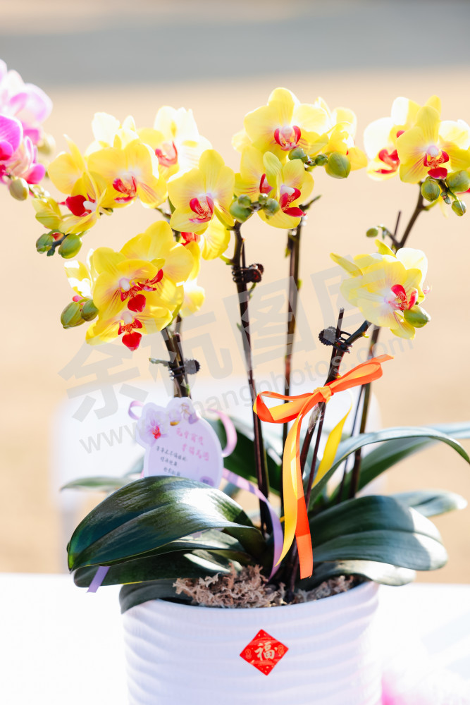 仁和街道第三届"鱼匠"美食争霸赛