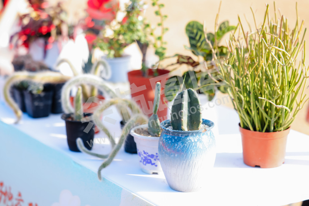 仁和街道第三届"鱼匠"美食争霸赛