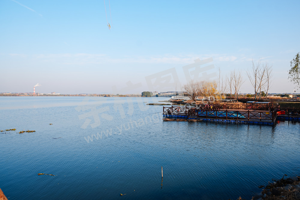 仁和街道第三届"鱼匠"美食争霸赛