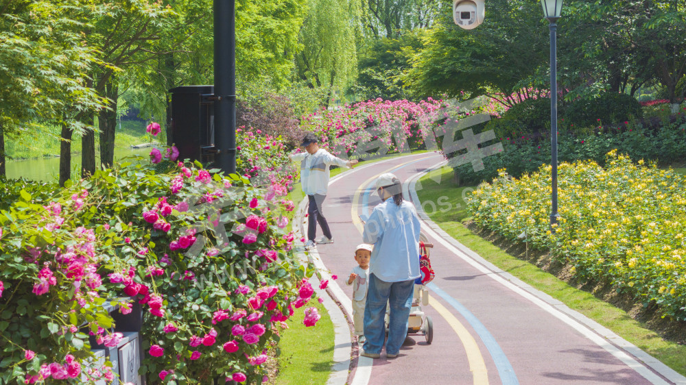 五常北部园区公园