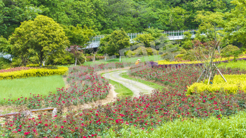 凤凰山公园