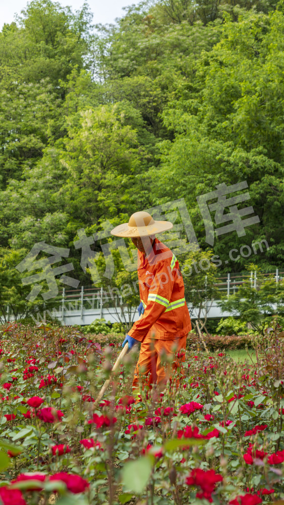 凤凰山公园