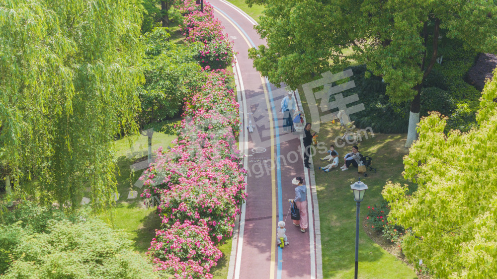 五常北部园区公园