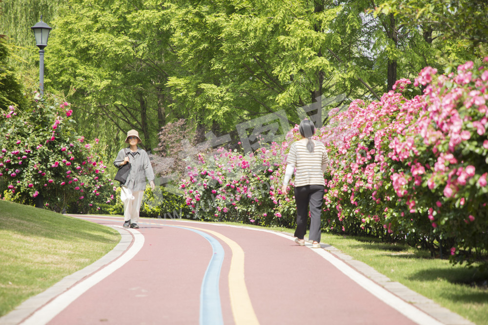 五常北部园区公园