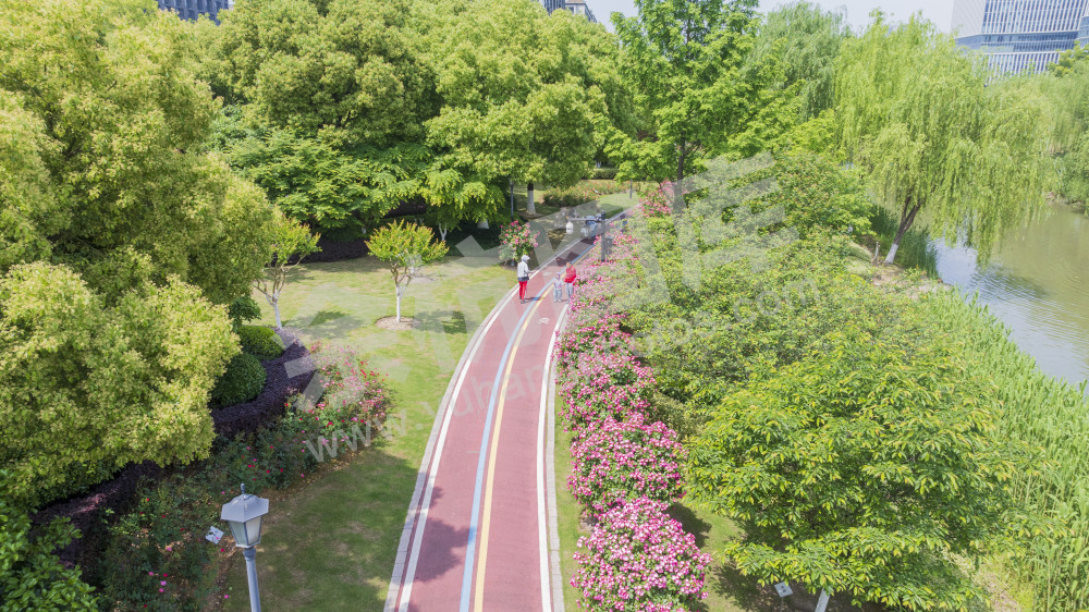 五常北部园区公园