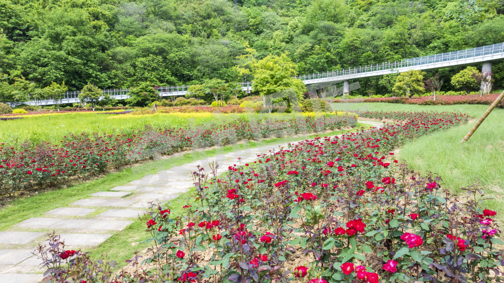 凤凰山公园