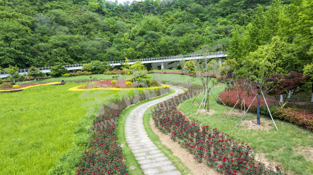 凤凰山公园