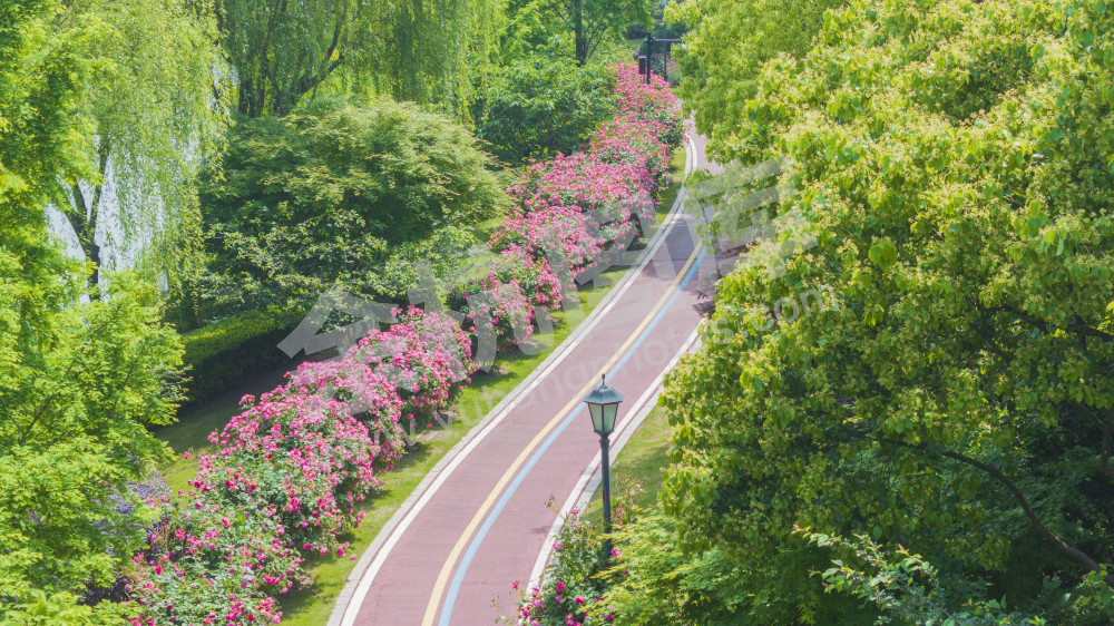 五常北部园区公园