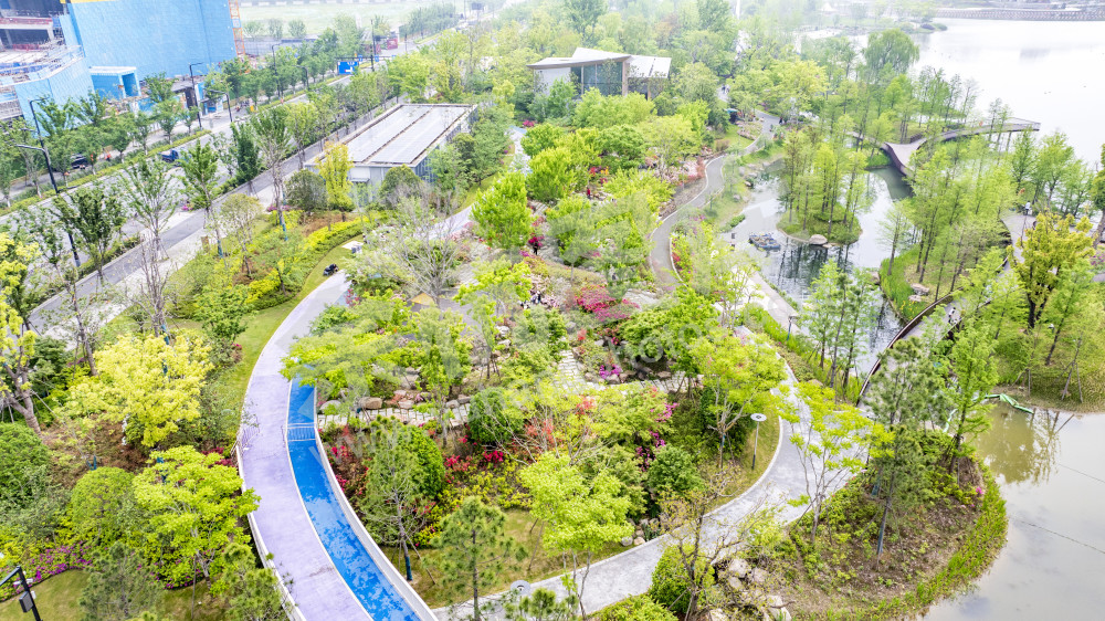 余杭公园春天