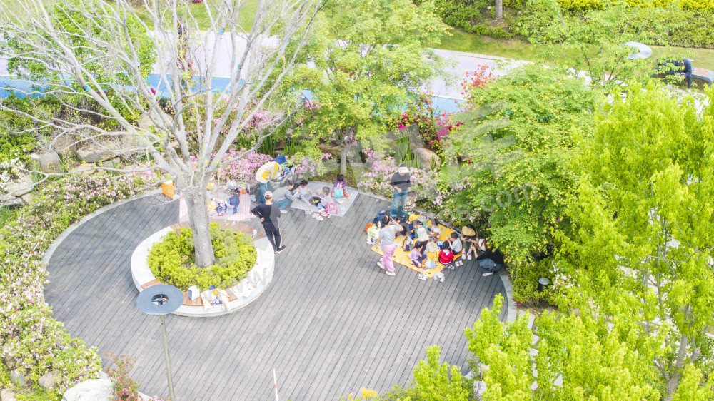 余杭公园春天