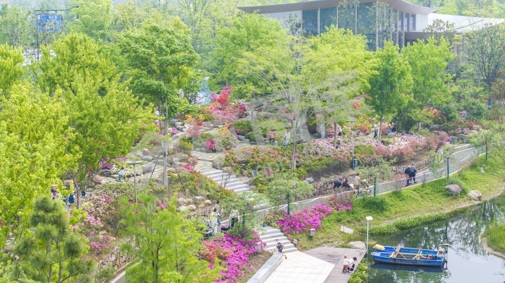 余杭公园春天