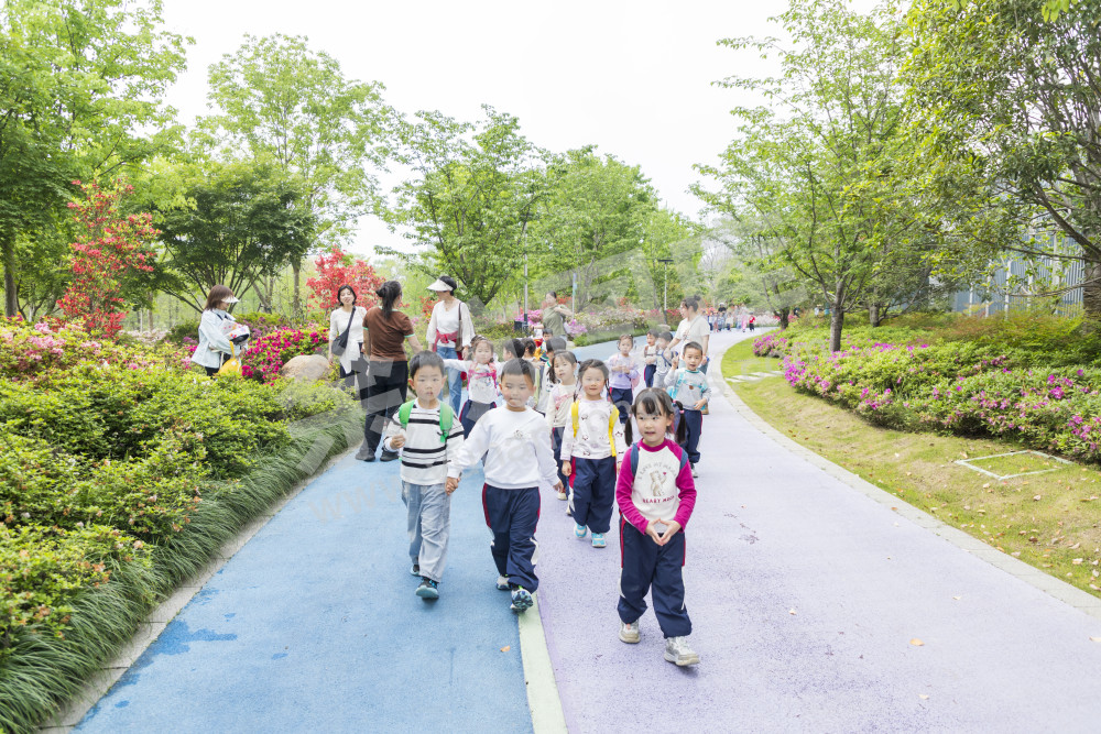 余杭公园春天