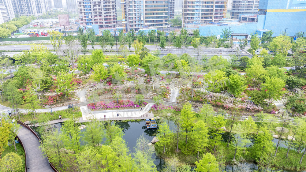 余杭公园春天