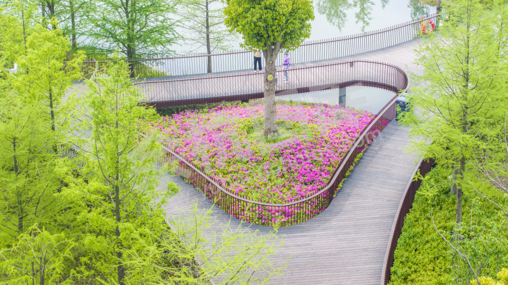 余杭公园春天