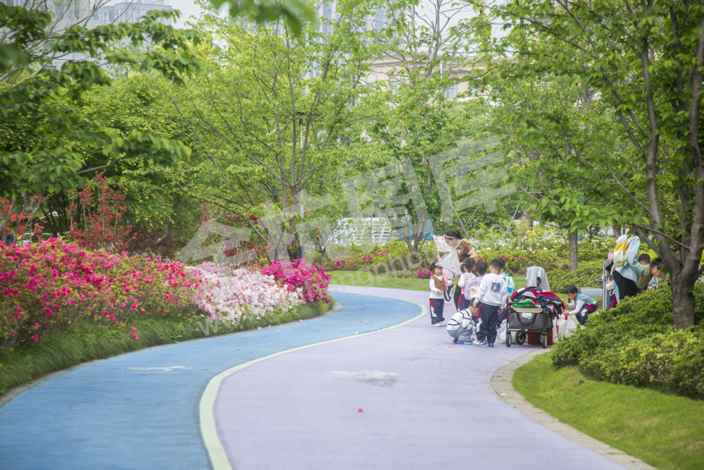余杭公园春天