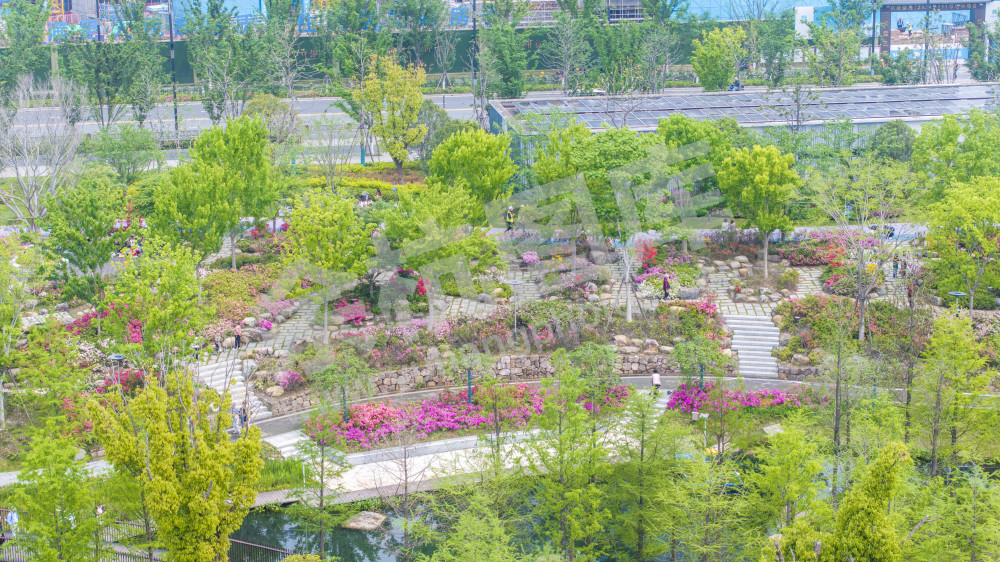 余杭公园春天